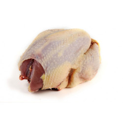 Pheasant (brace) Pheasant (brace)