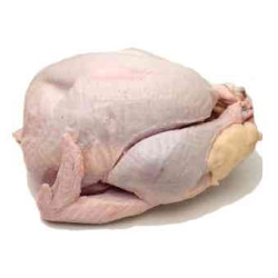 Bronze Turkeys Bronze Turkeys
